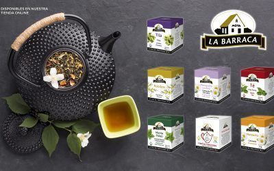 Pack 10 Infusiones