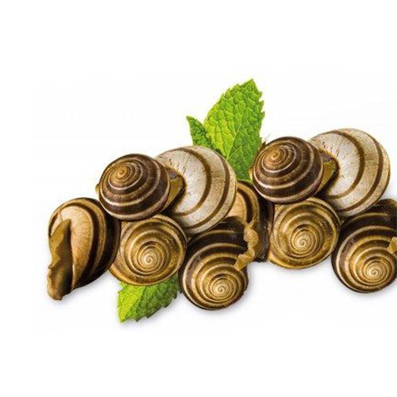 caracoles